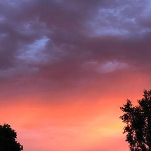 Meet your Posher, Ignacia